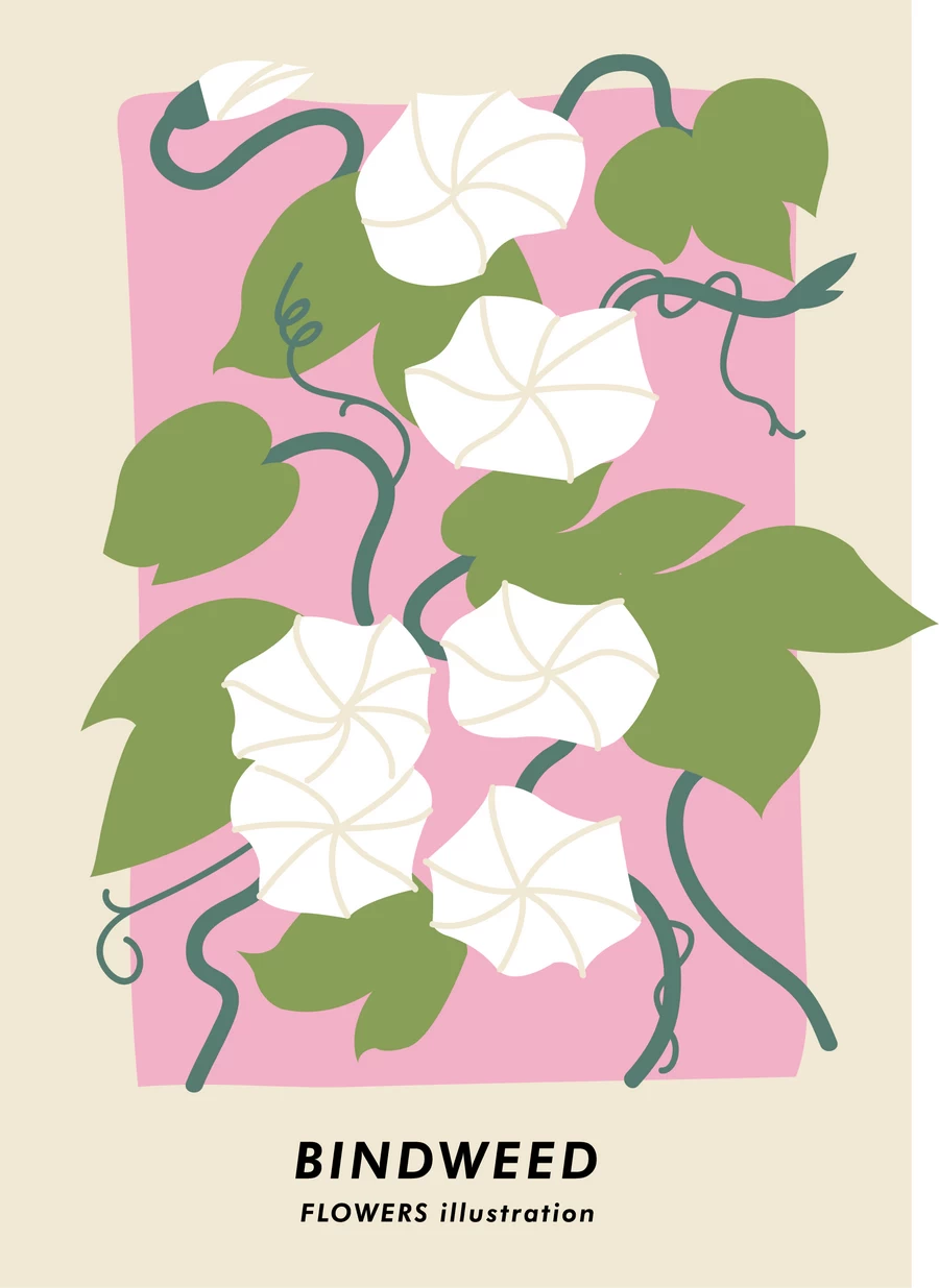 手绘小清新北欧花朵植物花卉插画海报封面画芯装饰AI矢量设计素材【020】